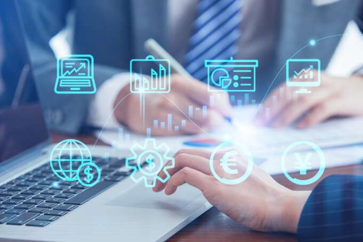 榕荫蔽日处藏着怎样的生态密码？